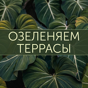 "Вы приходите, и всё вокруг ОЖИВАЕТ!"